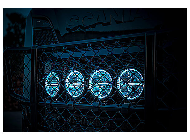 AMBASSADOR 9" FJERNLYS LED Strands Lighting Division 