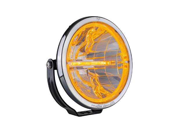 AMBASSADOR 9" FJERNLYS LED Strands Lighting Division 